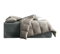 Down Quilt 95 White Goose Down Four Seasons Spring and Autumn Quilt Pure Cotton Hotel Quiet (Color : Gray Size : 248cmx248cm)