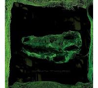 Avey Tare – Down There – Vinyle 12"