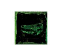 Avey Tare – Down There – CD – Import