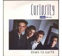 DOWN TO EARTH 7" (45) UK MERCURY 1986 AUTOGRAPHED BY BEN PIERROT AMD NICK THORPE ON FRONT OF PIC SLEEVE B/W INSTRUMENTAL (CAT2) PIC SLEEVE