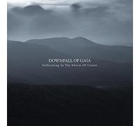 Downfall Of Gaia – Suffocating in the Swarm of Cranes – CD