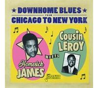Downhome Blues From Chicago To New York