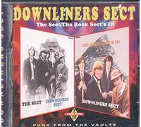 Downliners Sect - Sect/Rock Sect's in