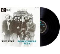 Downliners Sect - The Sect 30cm Noir