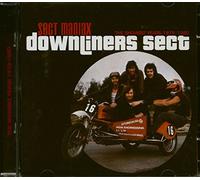 Downliners Sect, the - Sect Maniax 1979-1980 [Import]