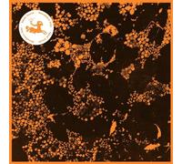 Downliners Sekt Silent Ascent (CD) Album Digipak