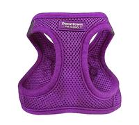 Downtown Pet Supply Harnais Anti-Traction en Maille rembourrée pour Petit Chien, Facile à Enfiler, Ajustable, Respirant et Confortable, avec Bords réfléchissants et Fermeture à Boucle, Taille XS
