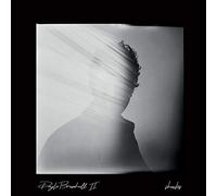 Doyle Bramhall II - Shades