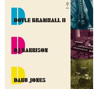 Doyle Bramhall When the Music Is Over (Vinyl)