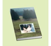 DOYOUNG - The Foam of Youth [Spring ver.] 1st Album