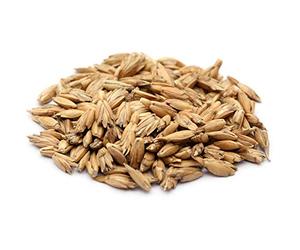#DoYourSports Remplissage pour Coussins et de Traversins de Yoga - Rembourrage de Fourrure d'épeautre Biologique de 1kg à 30kg - La litière d'épeautre est nettoyée/dépoussiérée - 2 kg