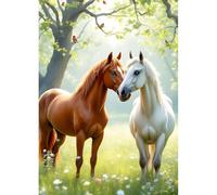 DPHERO 5D Couple Cheval Diamond Painting Kits, DIY Amoureux Art du Diamant Painting Kit Complet, Sunlight Broderie Kits de Peinture sur Diamant Point de Croix Paint pour Adultes Débutants 30x40 cm