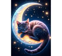 DPHERO 5D Nuit de Lune Diamond Painting Kits, DIY Chaton Endormi Art du Diamant Painting Kit Complet, Pays des Rêves Kits de Peinture sur Diamant Point de Croix Paint pour Adultes Débutants 30x40 cm