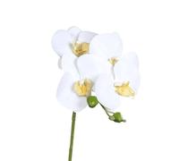 ART FLORAL-Orchidée tige crème artificielle Real Touch - 66 cm