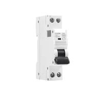 DPN MCB 1P+N 6A 10A 16A 20A 25A 32A 40A 220V AC Circuit Breaker 6KA C Curve B Curve Din Rail 6KA MCB EKFBQBGW(C Curve,6A)