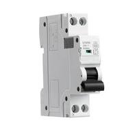 DPN MCB 1P + N 6A 10A 16A 20A 25A 32A 40A 220V AC Mini disjoncteur 6KA courbe C courbe B 1 pièce(C Curve,40A)