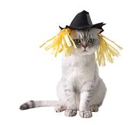 Dpofirs Chapeau D'épouvantail pour Animaux de Compagnie, Costume de Photographie d'halloween Léger et Durable, Tissu Non tissé, Noir