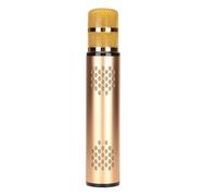 Dpofirs Enregistreur de Haut-Parleur Portable du Haut-Parleur Portable du karaoké sans Fil Manuel pour Le Festival, équipement avec 1 Chambre (Gold)