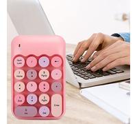 Dpofirs Mini Clavier Numérique sans Fil X910 avec 18 Touches Rondes, Clavier Numérique USB étanche Rose de Style Rétro pour Ordinateurs et Ordinateurs Portables, Clavier Coloré pour Compteurs