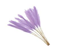 Dpofirs Pampas Herbes 55cm Tiges Fausses pour Décoration (#1)