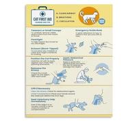 DPURPIWADY Comprehensive First Aid for Cats Choking CPR Guide Poster Canvas Painting Wall-Art for Bedroom Decor(Framed,16x24inch(40x60cm))