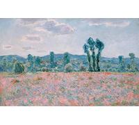 DQCJIYIGL Célèbre Art Décorative Imprimé Sur Toile Champ de coquelicots de Claude Monet Imprimer Affiche Pour la Décoration de Bureau 60x90cm