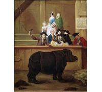 DQCJIYIGL Célèbre Art Décorative Imprimé Sur Toile Exposition animale de rhinocéros indien Clara par Pietro Longhi Imprimer Affiche Pour la Décoration de Bureau 60x90cm