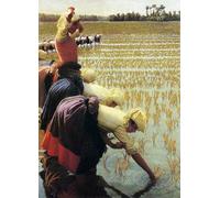 DQCJIYIGL Célèbre Poster Image Déco D'Art Murale une rizière italienne d'Angelo Morbelli Murale Tableaux Toile Pour la Décoration Murale 60x90cm
