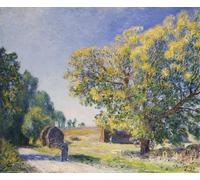 DQCJIYIGL De Célèbres Tableaux Affiche de Arts Affiche Artistique Autour de la forêt une clairière Autour de la forêt par Alfred Sisle Prints Toile Pour la Décoration du Salon 60x90cm