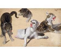 DQCJIYIGL De Célèbres Tableaux Affiche de Arts Affiche Artistique Quatre études de chatons par Desportes Prints Toile Pour la Décoration du Salon 60x90cm