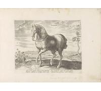 DQCJIYIGL De Célèbres Tableaux Moderne Toile Décor Art Mural Classique Hannibal fait combattre les Romains vaincus par Jan Van Der Straet Pour la Décoration de la Chambre à Coucher 60x90cm