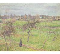 DQCJIYIGL De Célèbres Tableaux Murale Art Posté Affiches et Impressions Arbres fruitiers dans un pré à Eragny par Camille Jacob Pissarro Animaux Art Poster Pour les Décorations pour la Maison 60x90cm