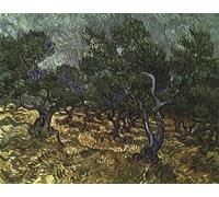 DQCJIYIGL De Célèbres Tableaux Murale Art Posté Affiches et Impressions l'oliveraie de Vincent Van Gogh Animaux Art Poster Pour les Décorations pour la Maison 60x90cm