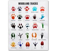 DQFOCPHHAA Woodland Animal Tracks - Field Guide Style Wall-Art for Boys Room, Rustic Nursery Decor & Classroom Educational Display(Framed,12x18inch(30x45cm))
