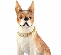 DQZRTUECA Collier de dressage for chien plaqué de 14 mm de large avec boucle en diamant for chiens de taille moyenne, collier for chien en acier inoxydable 316L avec chaîne à maillons cubains en métal