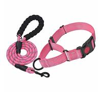 DQZRTUECA Ensemble Collier et Laisse for Chien, Colliers Martingale réfléchissants for Chiens de Petite, Moyenne et Grande Taille(Large Size)
