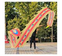 DQZRTUECA Ruban de Danse Chinois en Soie for Dragon, avec Boule, for l'extérieur, Plusieurs Longueurs (6 à 10 m)(Style2,8 m/26ft Long)