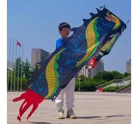 DQZRTUECA Ruban Poi de Danse du Dragon avec tête de Dragon, Multicolore, 2 à 5 m(Black,5 m/16.4ft Long)