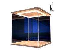 DQZRTUECA vitrines en Plastique Transparent, Bacs de Rangement en Cube Acrylique Transparent for Un Assemblage Facile, Plusieurs Tailles(20x20x55cm(8"x8"x22"))