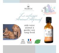 Dr Bach Flowers Aggressive Animal 50ml +1 Free-Alcohol Free-Dangerous,Nasty,Unpredictable,Attack,Growls