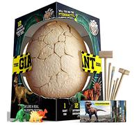 Dr.Daz - Dino Egg-Grand Oeufs de Dinosauri Kit de Fouille-Découvrez 12 Dinos Différents Jouet D'archéologie Fête de Pâques-Jouet Garcon Fille 6 Ans