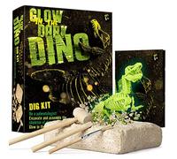 Dr. Daz - Dinosaur T-Rex Fluorescents Kit de Fouille pour Enfants-Excaver et Assembler 16 Fossiles de Dino-Jouets Educatifs pour Les 6 7 8 9 10 Ans