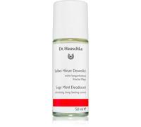 Dr. Hauschka Body Care Sage Mint Deodorant déodorant à la sauge et menthe 50 ml