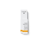 DR. HAUSCHKA Crème pour le visage - Crème de jour à la coing 30ml / 2,5ml