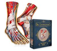 Dr. Livingston's Human Feet Anatomie Puzzle - Un puzzle médical précis des pieds - Jouet éducatif du corps humain - Puzzle de forme unique pour médecins, infirmières et étudiants en médecine