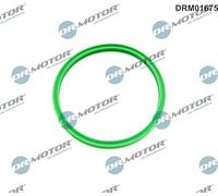 DR.MOTOR AUTOMOTIVE Bague d'étanchéité gaine de suralimentation Intercooler, échangeur Joint de durite de turbo DRM01675