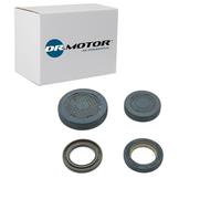 DR.MOTOR AUTOMOTIVE DRM01258 Bouchon axe de culbuteurs-nez fileté | Compatible avec: DACIA DUSTER, DUSTER Kasten/SUV, LOGAN, LOGAN II, LOGAN MCV, SANDERO, RENAULT CLIO II, CLIO III