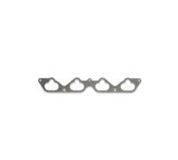 DR.MOTOR AUTOMOTIVE DRM01750 Joint de collecteur d'admission