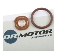DR.MOTOR AUTOMOTIVE DRM018 Kit de joints, injecteur