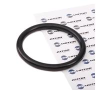Dr.motor Automotive DRM025 - Joint, manchon de vanne papillon
